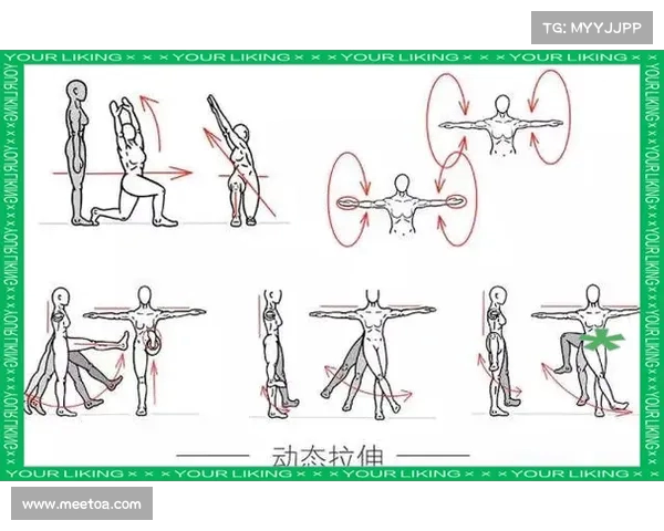 赛前热身的重要性与科学指导策略分析